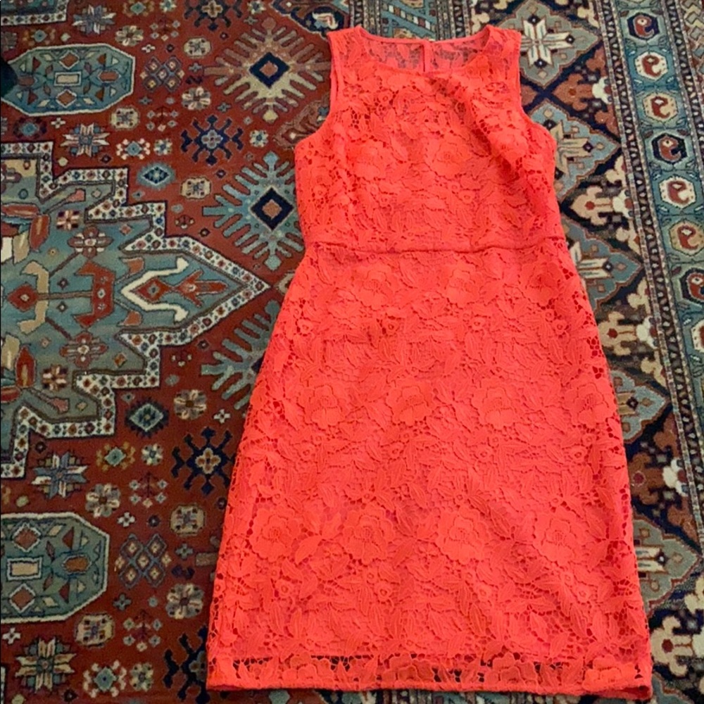 Jcrew collection lace sheath dress NWT size 4